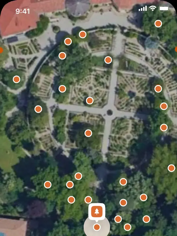 Tremap on iPhone: satellite map of a formal garden with tree pins and an Eastern Plane card